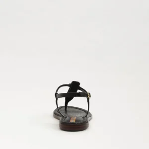 Sam Edelman Sandal- Gigi Black Signet Sandal